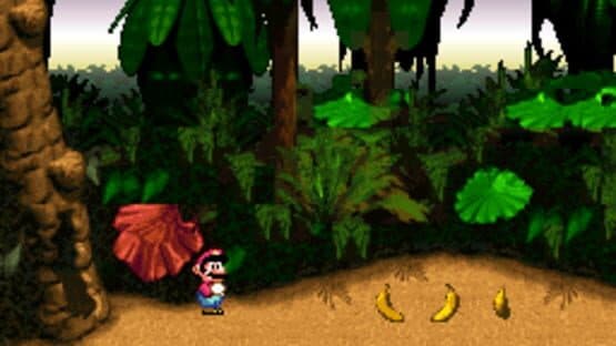 DKC X Mario — screenshot 3