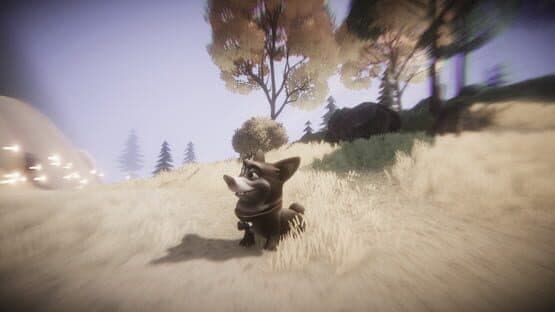 Heaven's Paws — screenshot 4