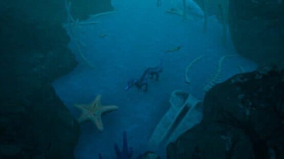 Seiden — screenshot 5