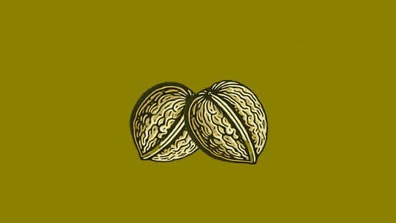 Nuts — screenshot 1