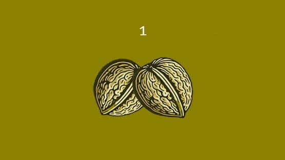 Nuts — screenshot 2