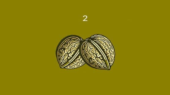 Nuts — screenshot 3