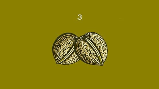 Nuts — screenshot 4