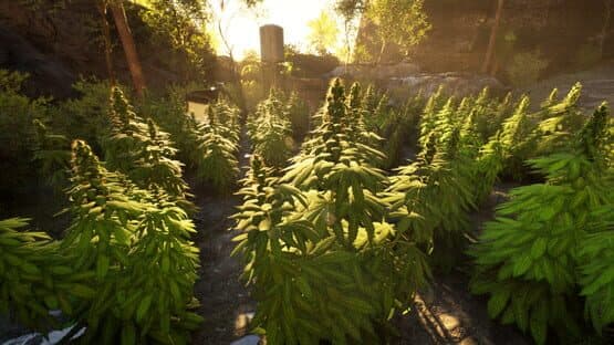 Weed Shop 4: Highland — screenshot 4