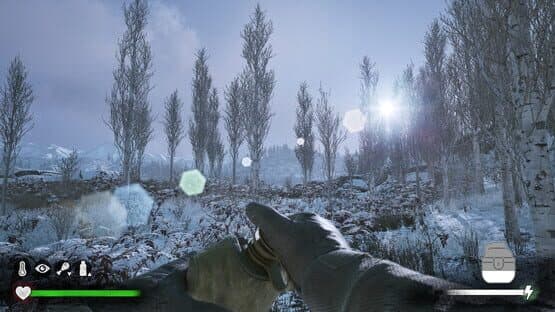 Winter Survival Simulator — screenshot 3