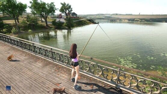 Fishing For Cats — screenshot 4