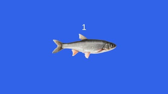Fish — screenshot 2