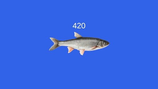 Fish — screenshot 5