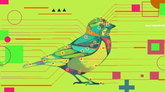 Avian Enigma — screenshot 1