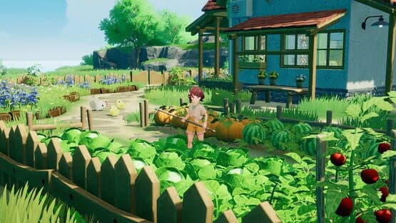 Starsand Island — screenshot 3