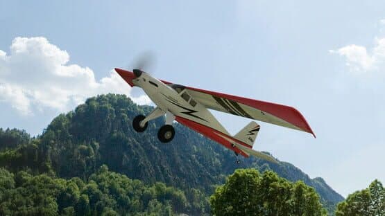 RealFlight Evolution: E-flite Turbo Timber SWS 2.0m — screenshot 7