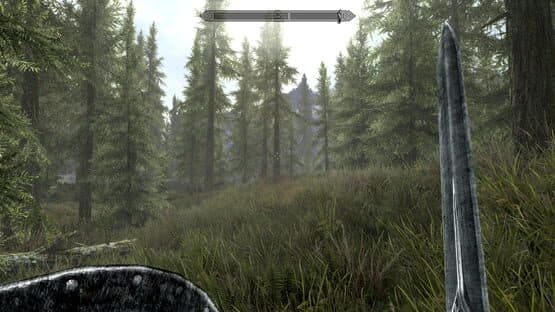 The Elder Scrolls V: Skyrim — screenshot 6