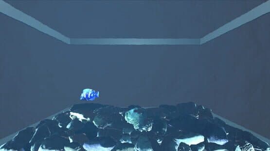 Aquario — screenshot 1