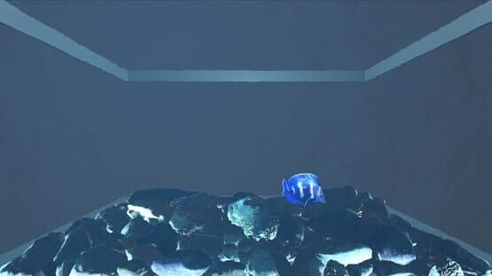 Aquario — screenshot 3