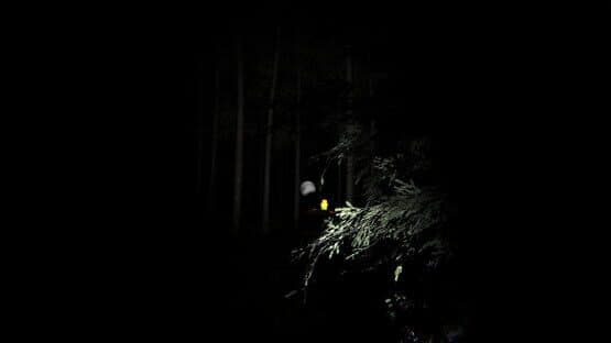 Final Night — screenshot 4