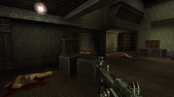 Soldier of Fortune — screenshot 8