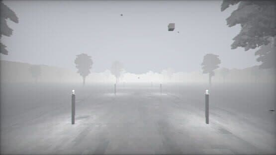 The Faceless Killer — screenshot 3
