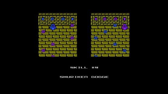 Ninja I & II — screenshot 6