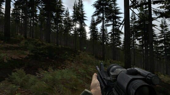 Arma 2 — screenshot 6