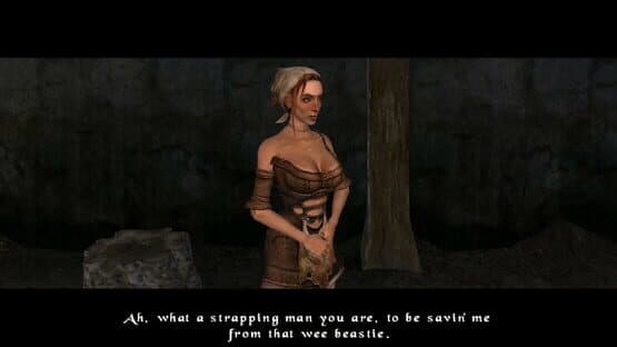 The Bard's Tale: Remastered and Resnarkled — screenshot 1