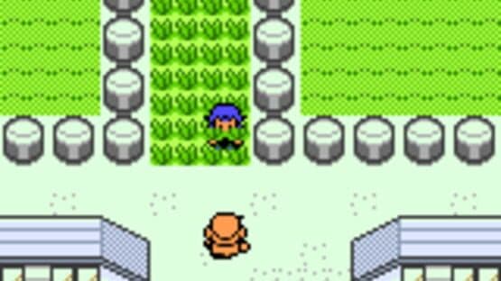 Pokémon Anniversary Crystal — screenshot 8