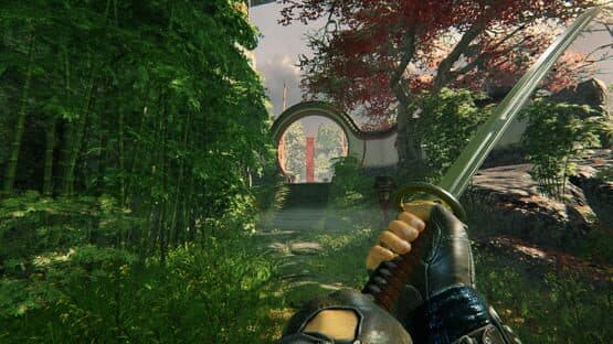 Shadow Warrior — screenshot 6