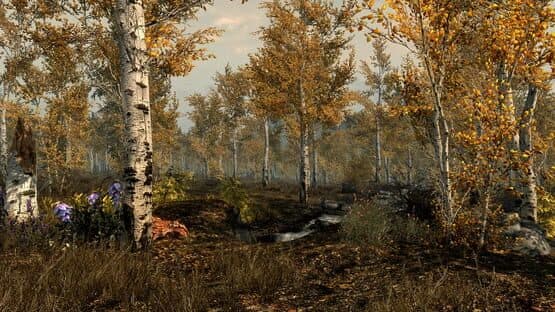 Falskaar — screenshot 2