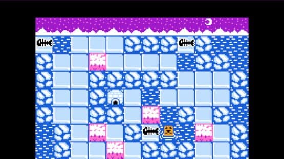 Penguin: Sokoban Adventure — screenshot 1