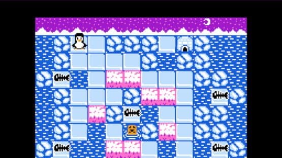 Penguin: Sokoban Adventure — screenshot 2