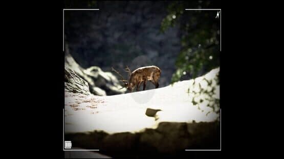 Raccoon on a Boat — screenshot 1