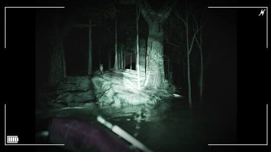 Raccoon on a Boat — screenshot 7