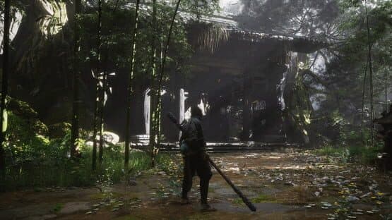 Black Myth: Wukong — screenshot 6