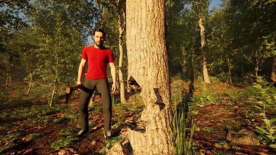 Carpathian Survival — screenshot 2