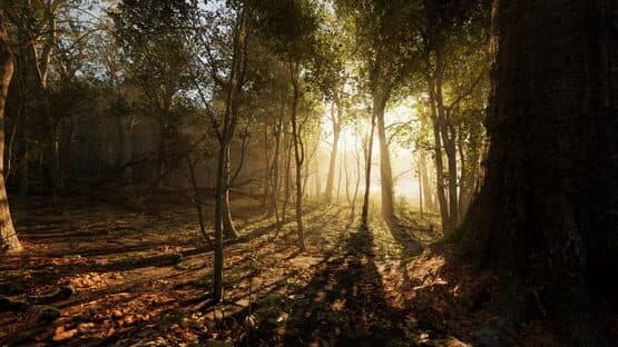 Carpathian Survival — screenshot 3