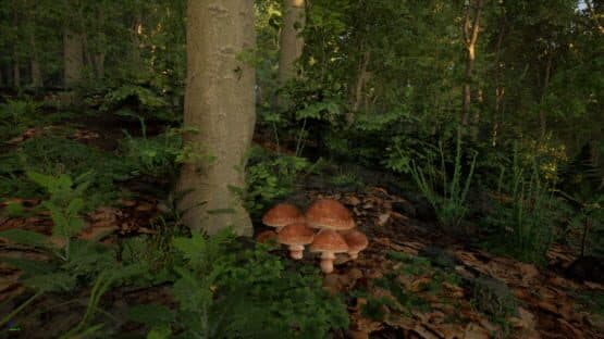 Carpathian Survival — screenshot 5