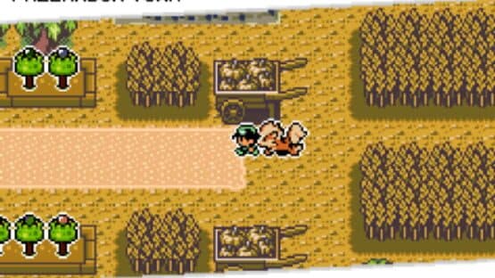 Pokémon Emerald Seaglass — screenshot 8