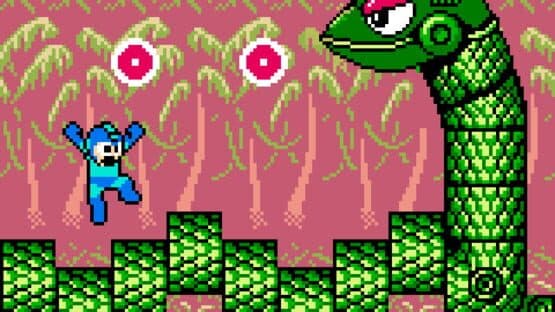 Mega Man World 3 DX — screenshot 2