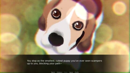 Do Not Take This Cat Home — screenshot 4