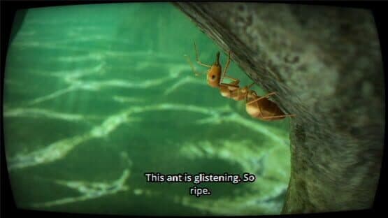 Eating Nature — screenshot 2