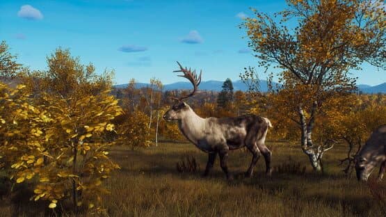 Way of the Hunter: Lintukoto Reserve — screenshot 1