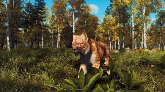 Way of the Hunter: Lintukoto Reserve — screenshot 3