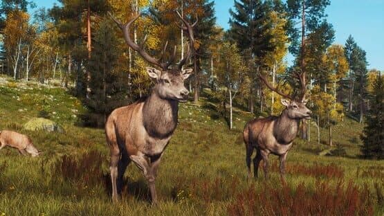 Way of the Hunter: Lintukoto Reserve — screenshot 5