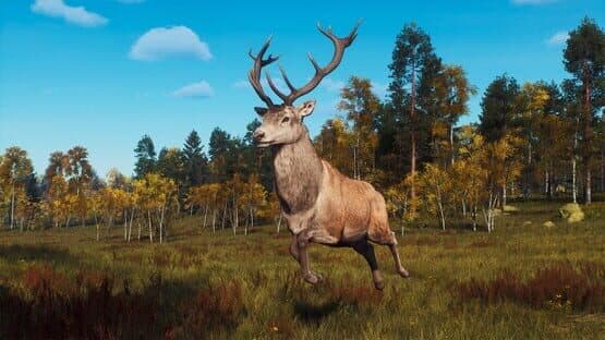 Way of the Hunter: Lintukoto Reserve — screenshot 6