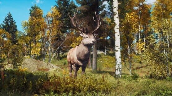 Way of the Hunter: Lintukoto Reserve — screenshot 7