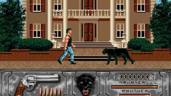 Wild Streets — screenshot 1