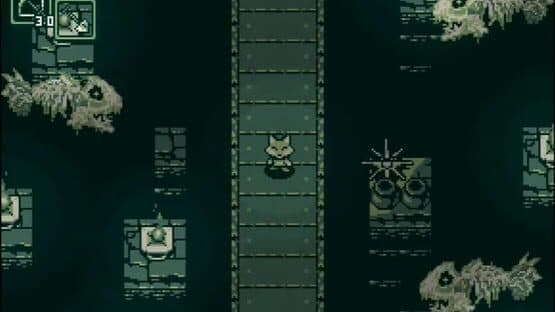 Maple Forest — screenshot 1