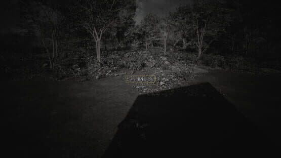The Memory In Walden Pond — screenshot 7