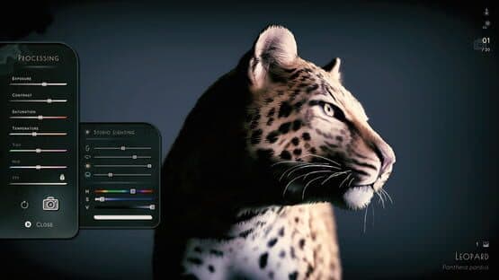 Seclusa — screenshot 7