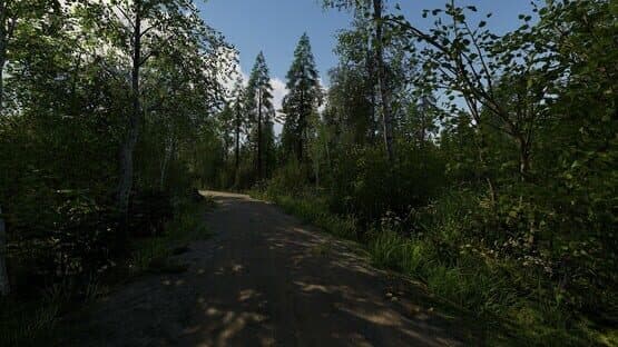Finnish Cottage Simulator — screenshot 3