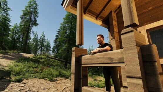 Finnish Cottage Simulator — screenshot 7